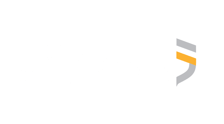 virtual guardian logo