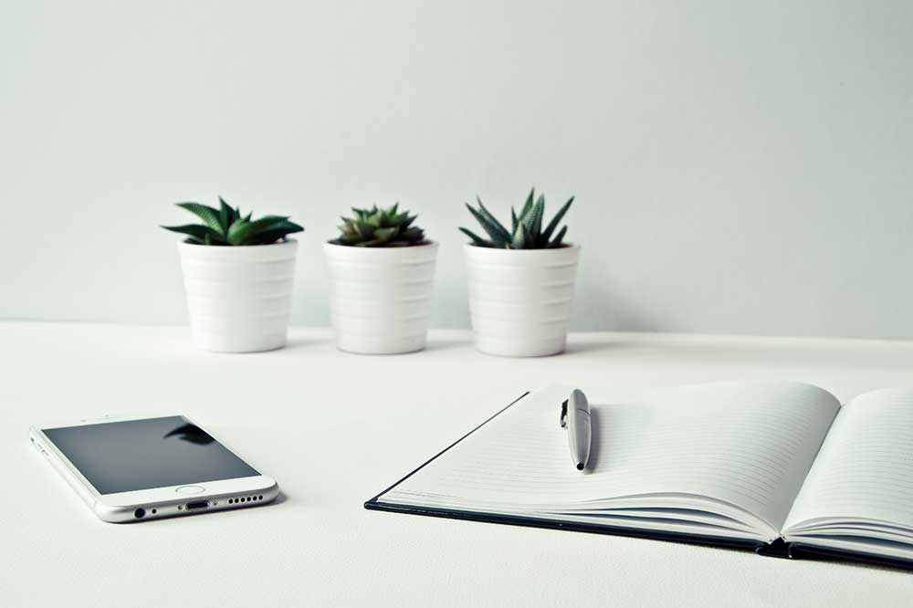 project management new